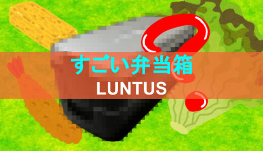 【LUNTUS弁当箱】ランタスの２段弁当箱を”５年以上”使った感想！